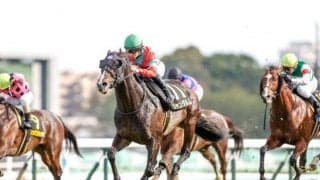 【シルクロードS展望】高松宮記念に繋がる一戦、好走の条件とは