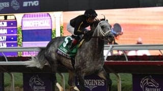 コントレイルが5位にランクイン、トップはニックスゴー　ワールドベストレースホースランキング