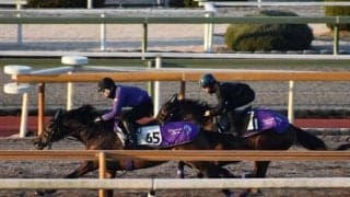 ダンテスヴュー、きさらぎ賞1週前追い切り速報/栗東トレセンニュース