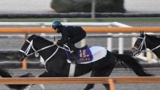 チュウワウィザード、川崎記念追い切り速報/栗東トレセンニュース