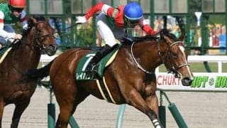 【JRA】葵Sが今年からGIIIに！ GIIニュージーランドTは降格の可能性が浮上
