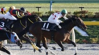 【根岸S「見逃せない調教師」ベスト3】東京ダート1400mで複勝率は55.0％、複勝回収率143％。馬券的に見逃せないのはこの調教師！