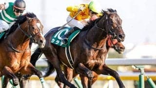 【東京新聞杯想定】連覇狙うカラテ、昨年秋華賞2着ファインルージュなど