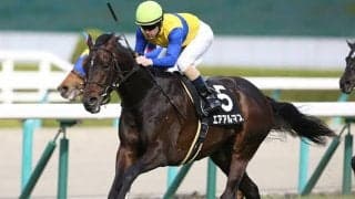 レースの傾向からも面白い存在に！ 根岸SでAIが指名した注目の伏兵は？