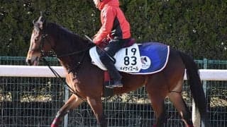 【シルクロードS】メイケイエール武英師「落ち着いているし状態は凄くいい」/ねぇさんのトレセン密着