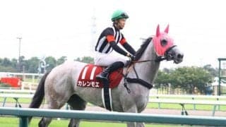 【シルクロードS出走馬・騎手確定】カレンモエ＆松山弘平騎手、メイケイエール＆池添謙一騎手など18頭