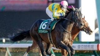 【根岸S出走馬・騎手確定】ソリストサンダー＆戸崎圭太騎手、オメガレインボー＆横山和生騎手など16頭