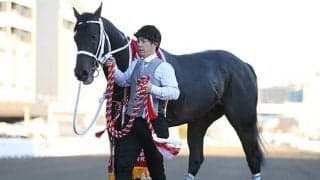 【川崎記念 出走予定馬】JRAチュウワウィザード、船橋カジノフォンテンら