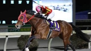 【地方競馬】78億円超、高知競馬で1開催の売上レコードを更新