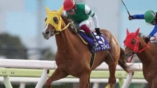 【大井・22ウインタースプリント結果】今野忠成騎手騎乗の2番人気ハートプレイスが快勝