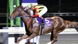 【地方競馬】令和3年高知年度代表馬はスペルマロン！6部門中4部門を別府真司厩舎が占める