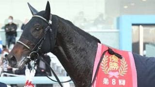 【次走】京都2歳S覇者ジャスティンロックは弥生賞で始動