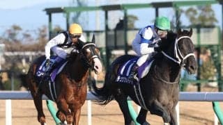 【川崎記念】JRA出走予定馬