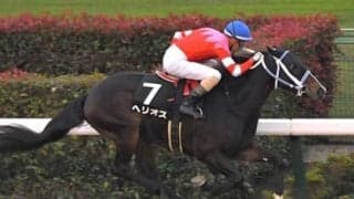 根岸Ｓは信頼度上昇中の「過去データ」を重視。大混戦から浮上する４頭が高配当を演出か