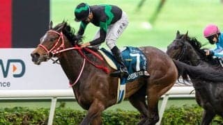 昨年香港G1・2勝のラヴズオンリーユーの名を冠したレースが引退式当日の30日、シャティン競馬場で開催