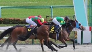 今年も大混戦の根岸Ｓ。マイル戦でも強靭な末脚が使える距離短縮組が絶好の狙い目