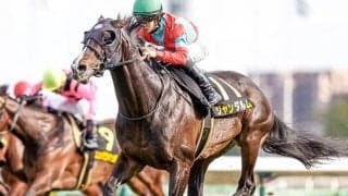 【シルクロードS予想】覚えておいても損はない！ JRAハンデ戦における重要ポイント