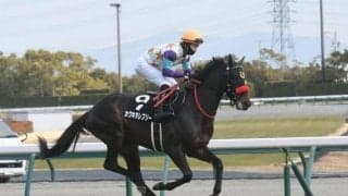 【白梅賞結果】カワキタレブリーが2番手から抜け出し新馬戦以来のV