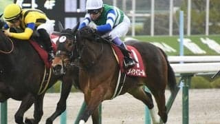 【シルクロードS予想】メイケイエールに危険信号!? 前走GIで4着も○○であることがレースに影響？