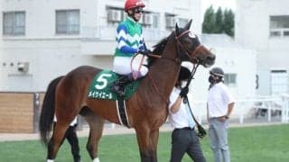 【シルクロードS前日オッズ】重賞4勝目を狙うメイケイエールが3.6倍で1番人気