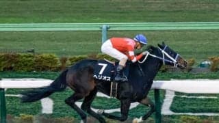 【根岸S前日オッズ】武豊騎手騎乗ヘリオスが4.1倍で1番人気