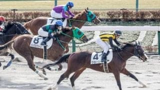 【根岸S予想】極端に時計が掛かかるわけでもなく、かなり読みにくいが…/万哲の馬場予報