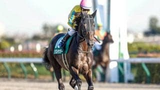 【WIN5予想】根岸Sはコース適性や臨戦過程が明暗を分けそう