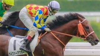 【JRA】上野翔騎手が骨折の疑い、アイファーアクターは予後不良に