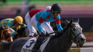 【新馬/東京6R】武豊 アルゲンテウスが鮮やかな差し切り