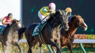 【本日の注目ポイント】重賞は根岸SとシルクロードS、夕方にはラヴズオンリーユー引退式