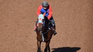 【根岸S予想】フェブラリーSの登竜門、末脚自慢のコース巧者に期待