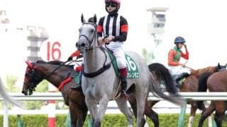 【シルクロードS予想】高松宮記念との関連性が高いスプリントハンデ戦