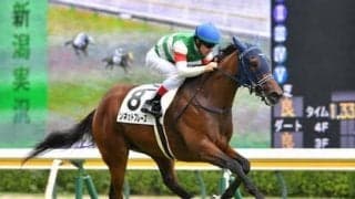 阪神JFをパスした大物。陣営が「必ず走る」と絶賛しているソネットフレーズの今後