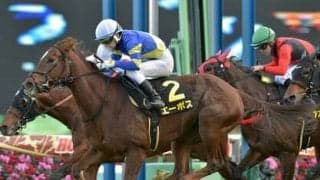 毎年「荒れる」シルクロードＳ。穴党記者が確信をもって推すのは上昇気流に乗る２頭