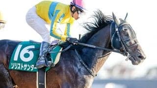 【根岸S予想】8枠不利＆10・12・16番は死に目？ ローテから絞れる好走パターン馬はどれだ！