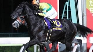 【AI予想・根岸S】週初めから一転も「大穴狙い」は変わらず!? 上位拮抗の混戦断つのは「あの馬」か