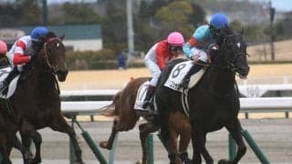 【中京6R新馬戦結果】ブラックブロッサムが人気に応えて押し切り勝ち
