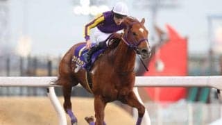 【川崎記念枠順確定】チュウワウィザードは3枠3番、カジノフォンテンは6枠9番