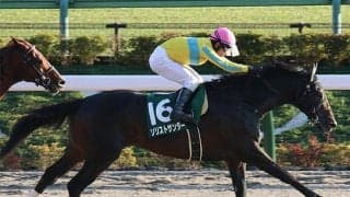 【根岸S・馬体重】ソリストサンダーは486kg(+4)、タガノビューティーは518kg(-4)