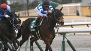 【シルクロードS結果】メイケイエールが好位抜け出しで完勝！重賞4勝目