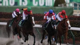 【根岸S】テイエムサウスダンが抜け出す