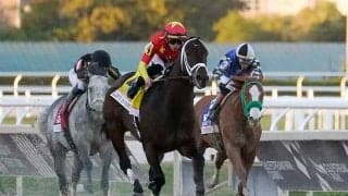 完敗2着の世界ランク1位ニックスゴー陣営も勝ち馬に脱帽「あの馬は本当に速いよ」【ペガサスWC】