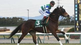 【勝負の分かれ目 シルクロードS】池添騎手の技術と馬具の効果でメイケイエールが完勝