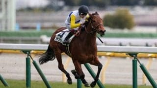 【新馬/東京6R】ロードカナロア産駒 カナテープがデビューV