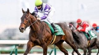 JRAはGIII東京新聞杯ときさらぎ賞、地方はJpnI川崎記念/今週の競馬界の見どころ