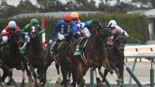 【シルクロードS】売上は56億1773万5900円で昨年からおよそ3.4億円の増加