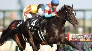 【AI予想・東京新聞杯】10戦連続「1番人気」はダテじゃない!? 凡走続く「あの馬」の巻き返しに期待！