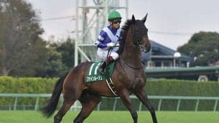 【東京新聞杯想定騎手】ファインルージュはC.ルメール騎手、カラテは菅原明良騎手