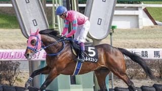 【先週のJRA抹消馬】春麗ジャンプS覇者ハルキストン、スティッフェリオの半弟リオンドールなど