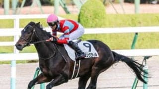 【きさらぎ賞展望】少頭数ゆえ前有利になりやすい3歳重賞